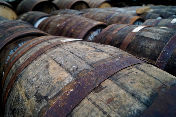 Rows of traditional rum casks