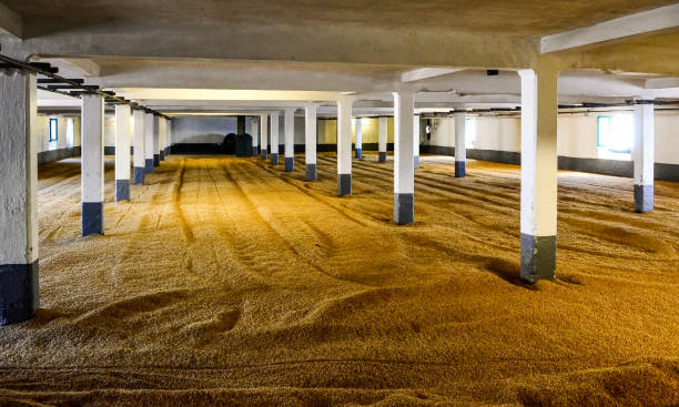 Traditional floor malting room