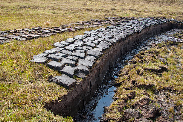 Cut peat drying beside a peat bank