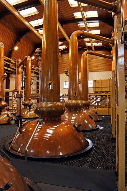Traditional copper pot stills in a Scotch distillery