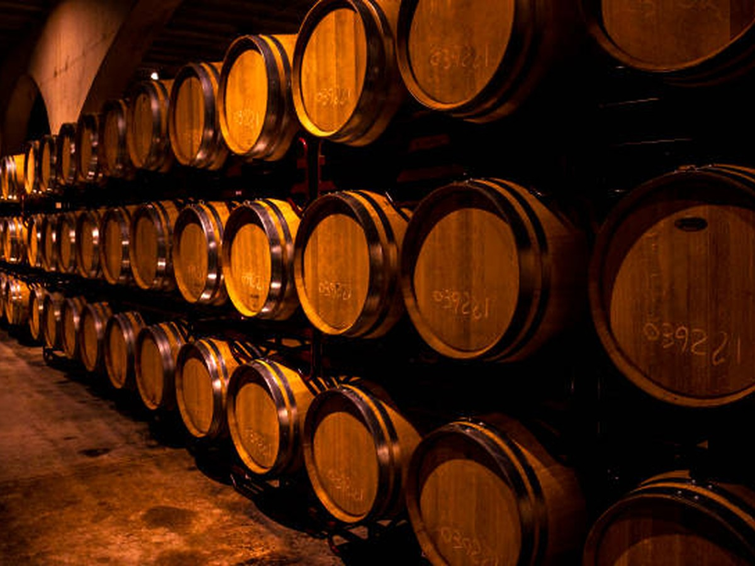 Rows of oak barrels in a Tequila maturation warehouse