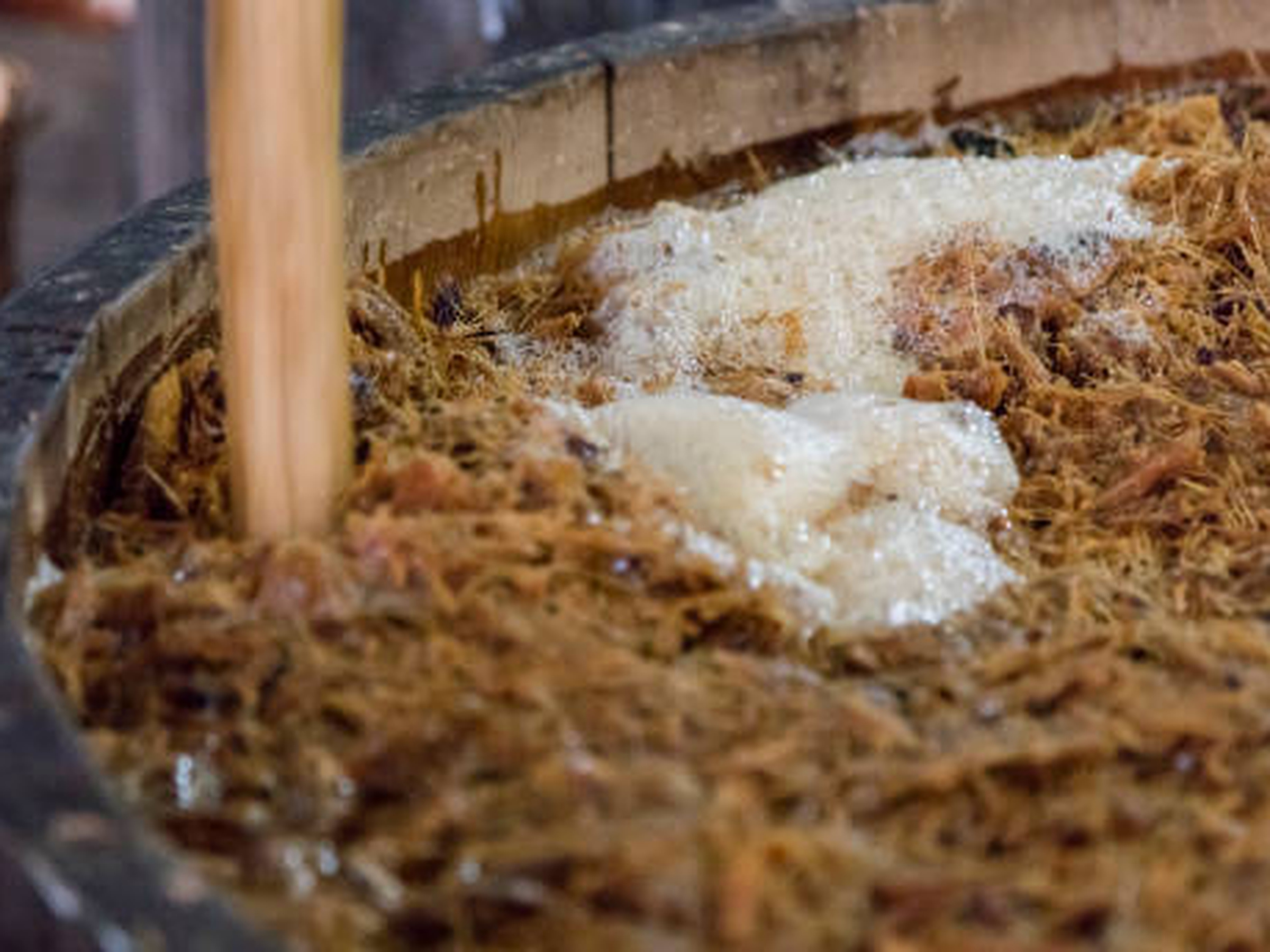 Agave fibre fermenting in a wooden vat