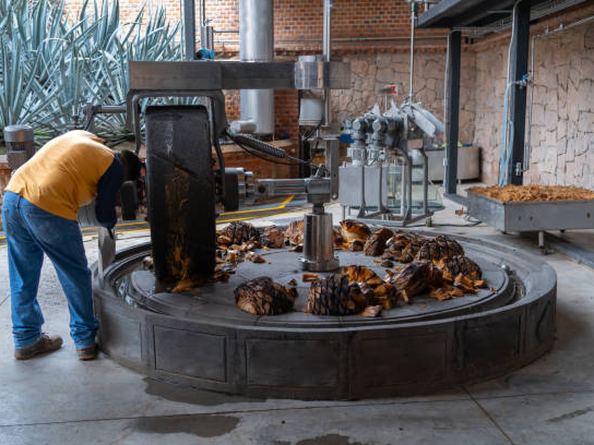 Tahona wheel used to crush cooked agave in a Tequila distillery