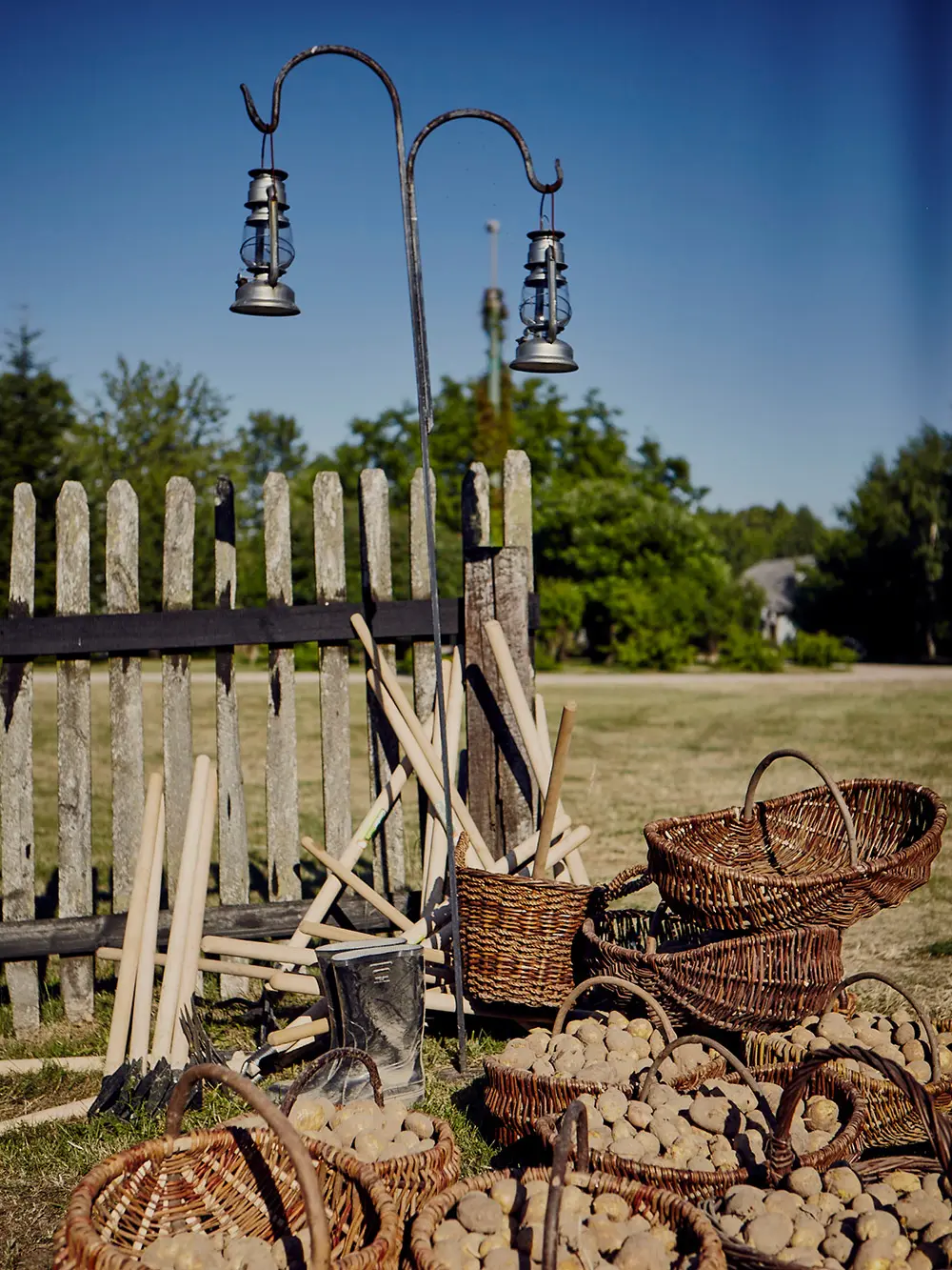Historic potato harvest baskets and tools